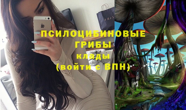 СК Киреевск