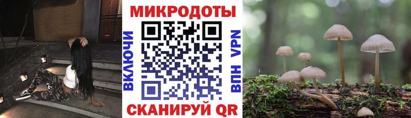 omg ONION  darknet формула  Галлюциногенные грибы Psilocybine cubensis  Ессентукская 